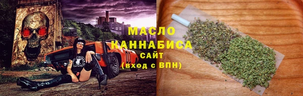 гидра Нязепетровск