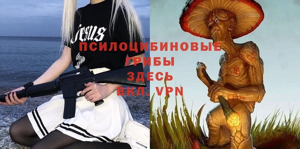 дмт Няндома