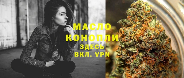 дмт Няндома