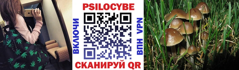 Псилоцибиновые грибы MAGIC MUSHROOMS  Ак-Довурак 